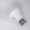 LED