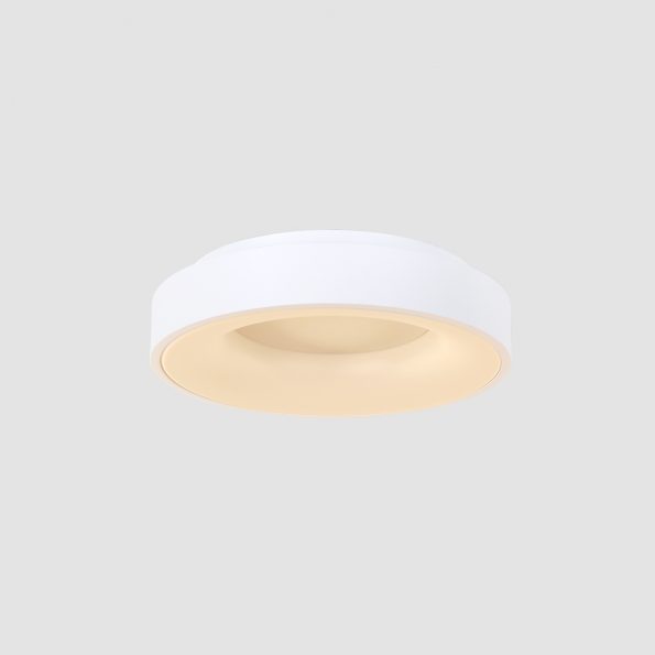 Industrielle Deckenleuchte Ringlede Weiß Ø 38 Cm – Bild 14