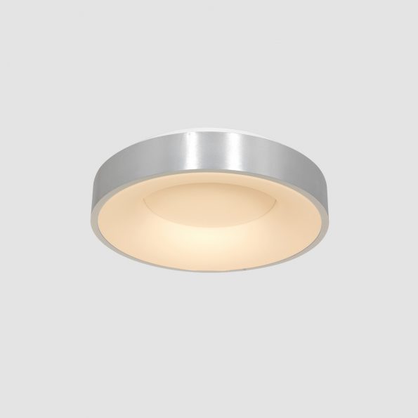 Industrielle Deckenleuchte Ringlede Silber Ø 38 Cm – Bild 14