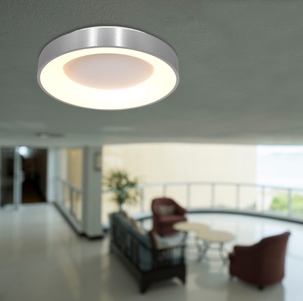 Industrielle Deckenleuchte Ringlede Silber Ø 38 Cm – Bild 3