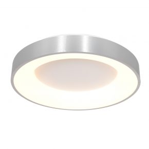 Deckenlampe Stahl-2562ZI