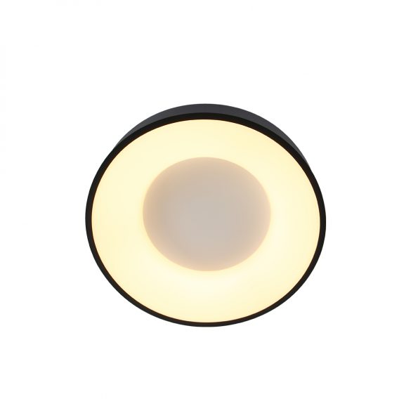 Industrielle Deckenleuchte Ringlede Schwarz Ø 38 Cm – Bild 10