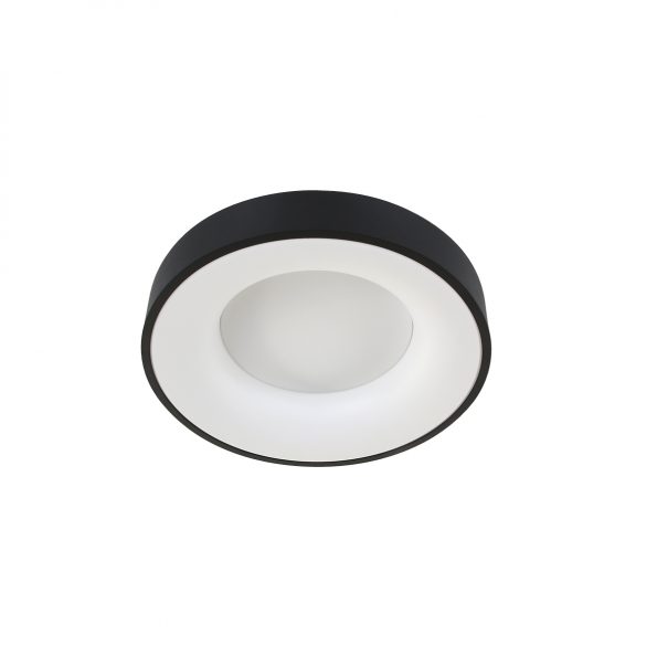 Industrielle Deckenleuchte Ringlede Schwarz Ø 38 Cm – Bild 12