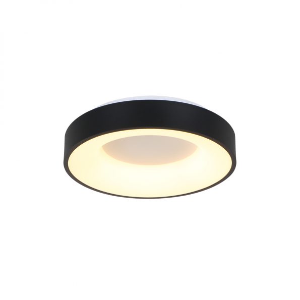 Industrielle Deckenleuchte Ringlede Schwarz Ø 38 Cm – Bild 13