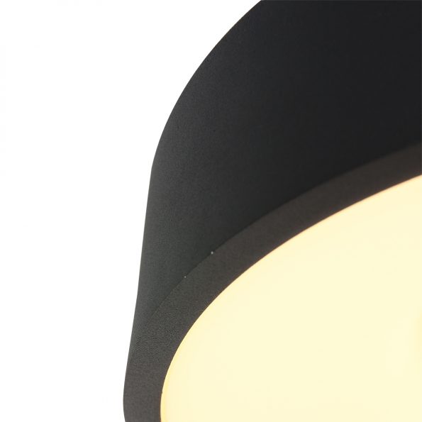 Industrielle Deckenleuchte Ringlede Schwarz Ø 38 Cm – Bild 14