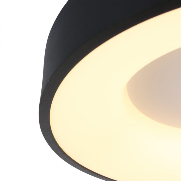 Industrielle Deckenleuchte Ringlede Schwarz Ø 38 Cm – Bild 5