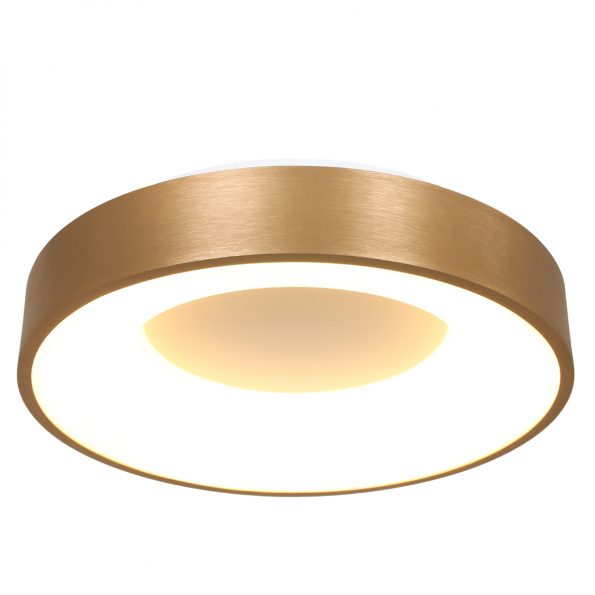 Industrielle Deckenleuchte Ringlede Gold Ø 48 Cm – Bild 10