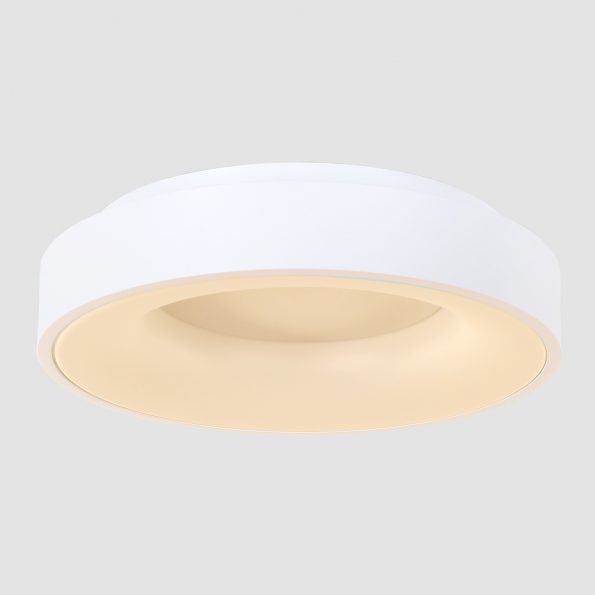 Industrielle Deckenleuchte Ringlede Weiß Ø 48 Cm – Bild 14