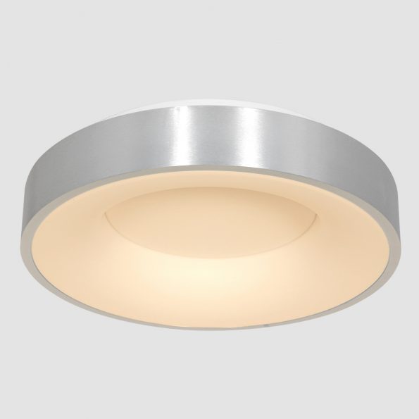 Industrielle Deckenleuchte Ringlede Silber Ø 48 Cm – Bild 10