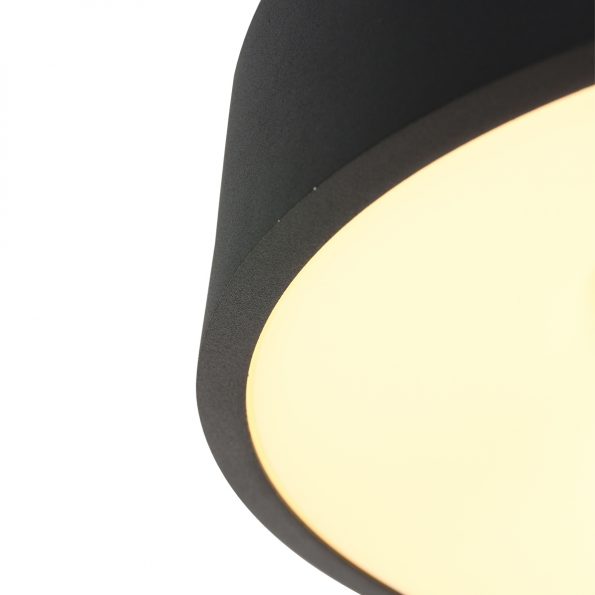 Industrielle Deckenleuchte Ringlede Schwarz Ø 48 Cm – Bild 14