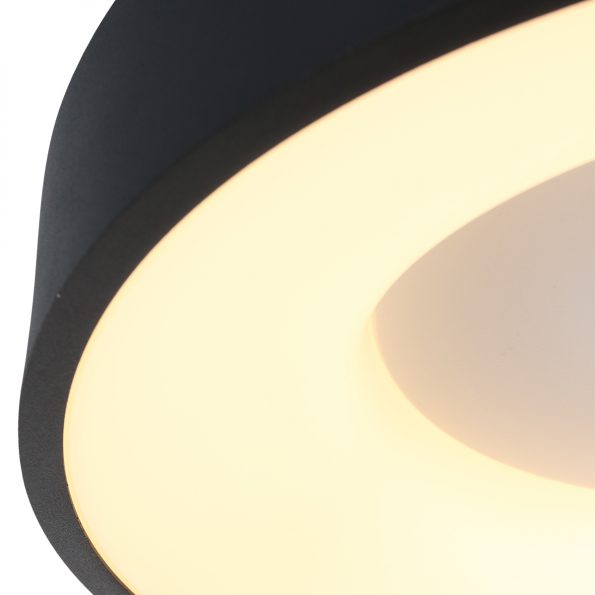 Industrielle Deckenleuchte Ringlede Schwarz Ø 48 Cm – Bild 5