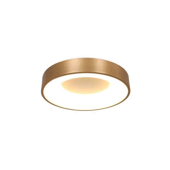 Industrielle Deckenleuchte Ringlede Gold Ø 30 Cm – Bild 8
