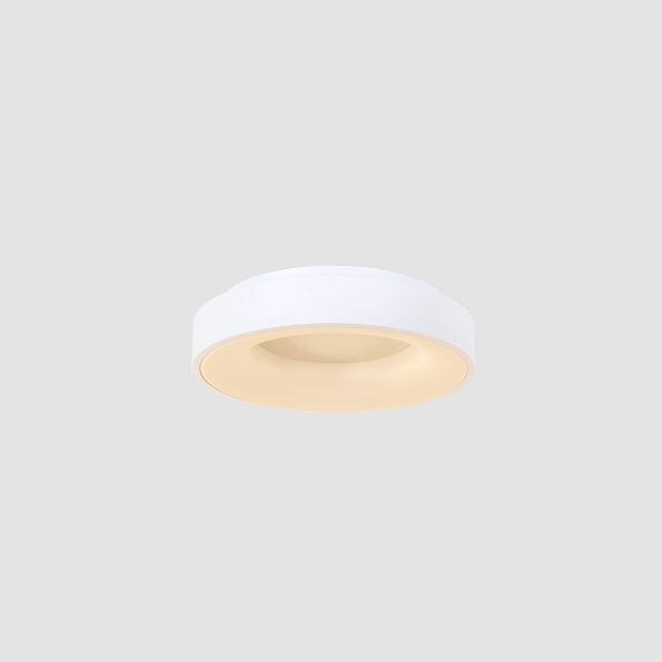 Industrielle Deckenleuchte Ringlede Weiß Ø 30 Cm – Bild 13