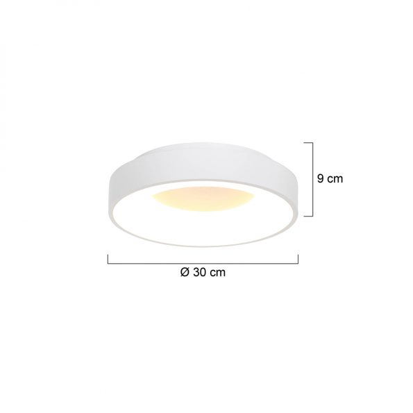 Industrielle Deckenleuchte Ringlede Weiß Ø 30 Cm – Bild 7
