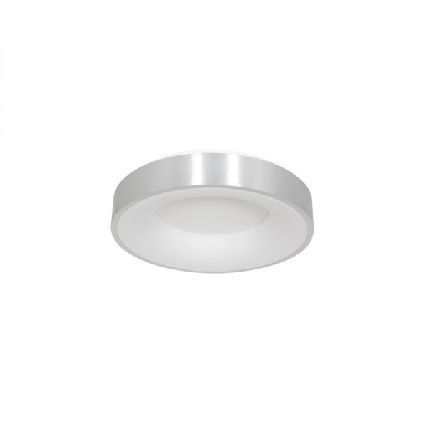 Industrielle Deckenleuchte Ringlede Silber Ø 30 Cm – Bild 2