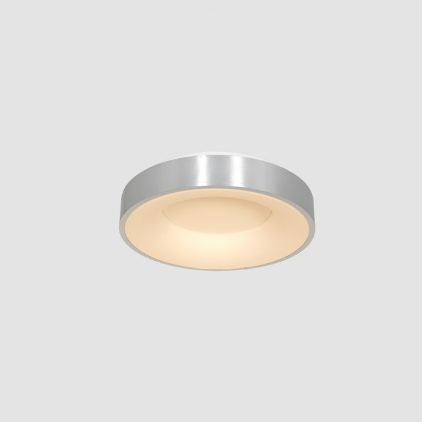 Industrielle Deckenleuchte Ringlede Silber Ø 30 Cm – Bild 14