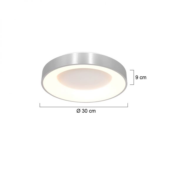 Industrielle Deckenleuchte Ringlede Silber Ø 30 Cm – Bild 8