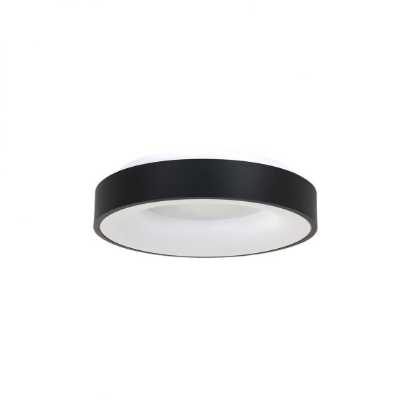 Industrielle Deckenleuchte Ringlede Schwarz Ø 30 Cm – Bild 2