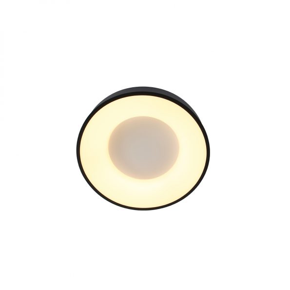 Industrielle Deckenleuchte Ringlede Schwarz Ø 30 Cm – Bild 9