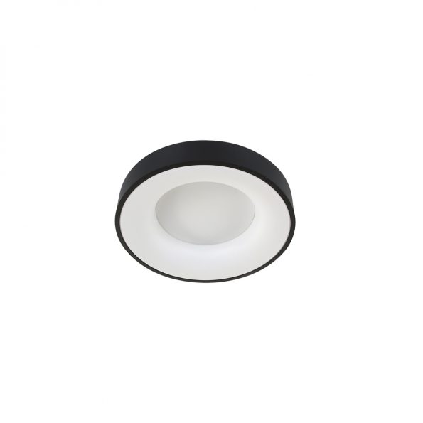 Industrielle Deckenleuchte Ringlede Schwarz Ø 30 Cm – Bild 11