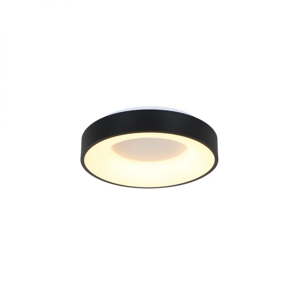 Industrielle Deckenleuchte Ringlede Schwarz Ø 30 Cm – Bild 12