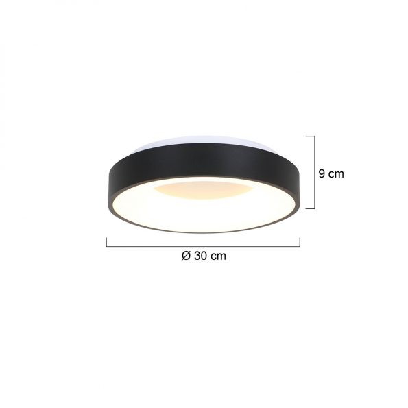 Industrielle Deckenleuchte Ringlede Schwarz Ø 30 Cm – Bild 7