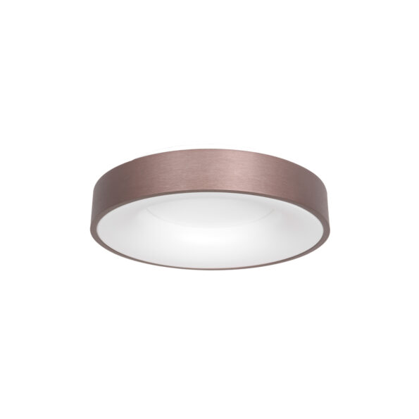 Industrielle Deckenleuchte Ringlede Bronze Ø 30 Cm – Bild 2