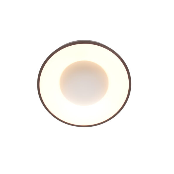 Industrielle Deckenleuchte Ringlede Bronze Ø 30 Cm – Bild 11
