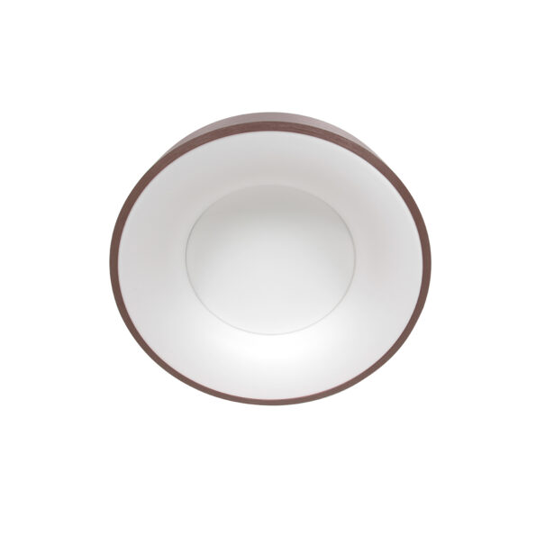 Industrielle Deckenleuchte Ringlede Bronze Ø 30 Cm – Bild 12