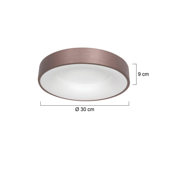 Industrielle Deckenleuchte Ringlede Bronze Ø 30 Cm – Bild 6