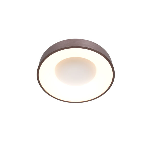 Industrielle Deckenleuchte Ringlede Bronze Ø 30 Cm – Bild 9