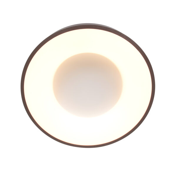 Industrielle Deckenleuchte Ringlede Bronze Ø 38 Cm – Bild 12