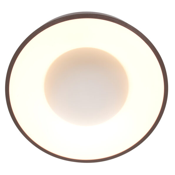 Industrielle Deckenleuchte Ringlede Bronze Ø 48 Cm – Bild 12