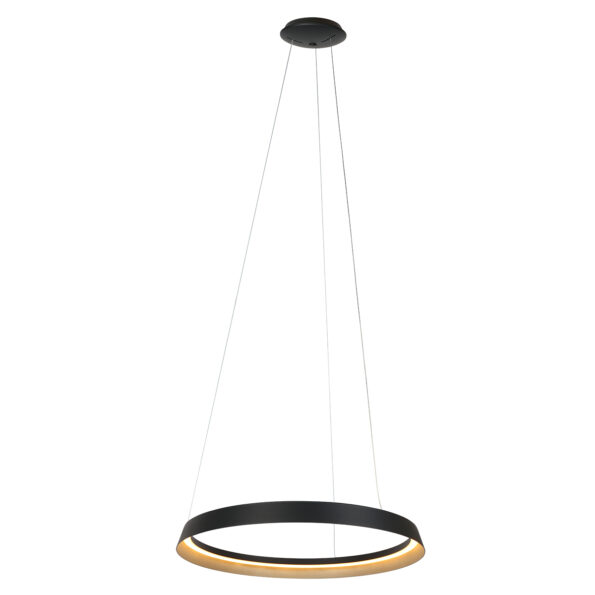 Industrielle Pendelleuchte Ringlux Schwarz Ø 60 Cm – Bild 2