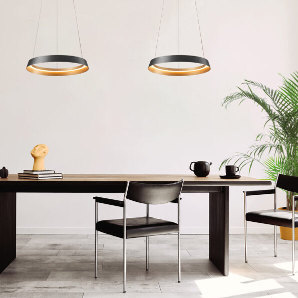 Industrielle Pendelleuchte Ringlux Schwarz Ø 60 Cm – Bild 3